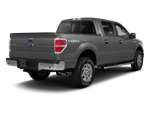 2012 Ford F-150 Platinum