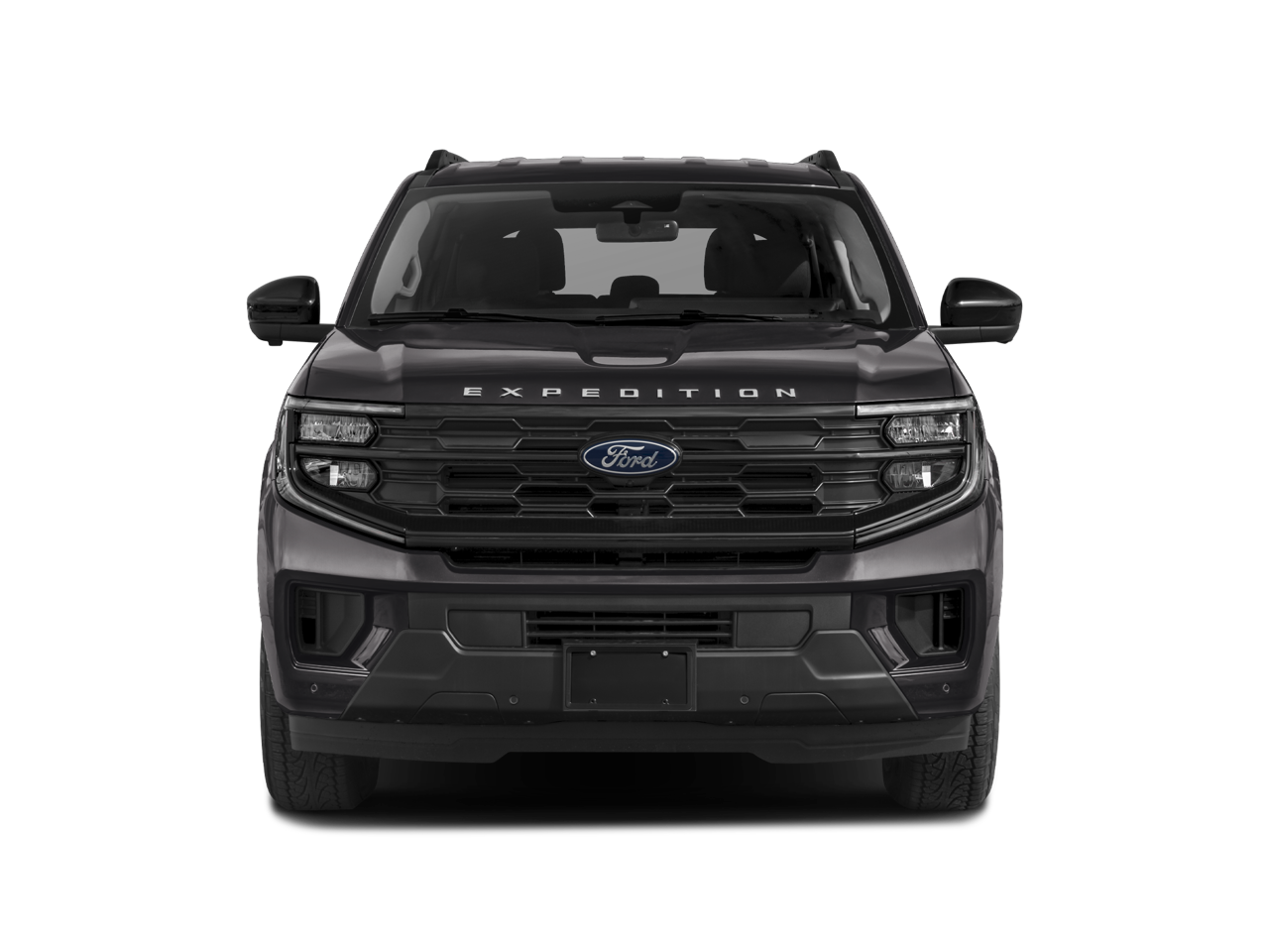 2025 Ford Expedition Active - Photo 41