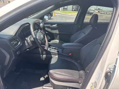 2025 Ford Escape ST-Line Elite