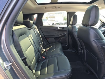 2026 Ford Escape Hybrid Platinum