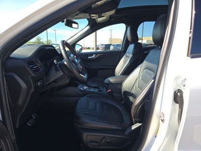 2024 Ford Escape ST-Line Elite