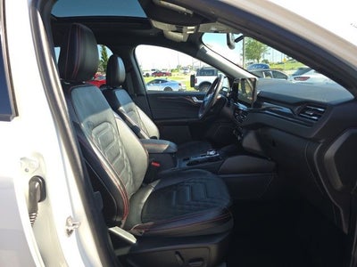 2024 Ford Escape ST-Line Elite